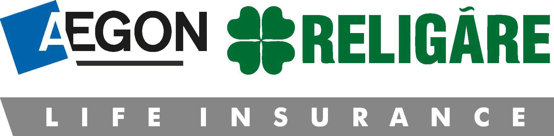 Recruiting Partner Logo